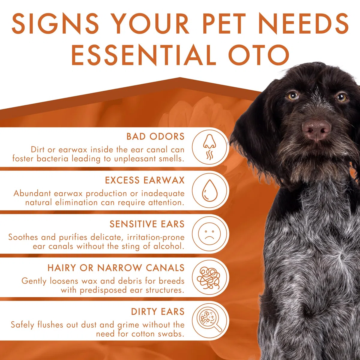 Dermoscent Essential OTO - Detergente auricolare per cani, gatti e conigli | Formula naturale senza alcool | Elimina cerumen e odori, idrata e lenitiva, 100 ml