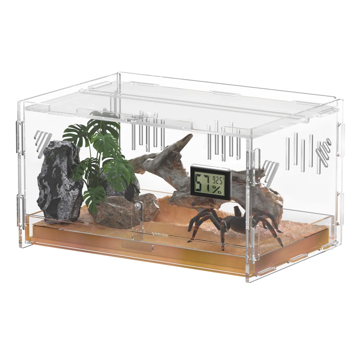 Terrari rettili, con igrometro di temperatura, 30x20x15cm acrilico rettile Allevamento Box Terrario gabbia serbatoio per piccoli rettili insetti Home Office (Terrestrial Small)