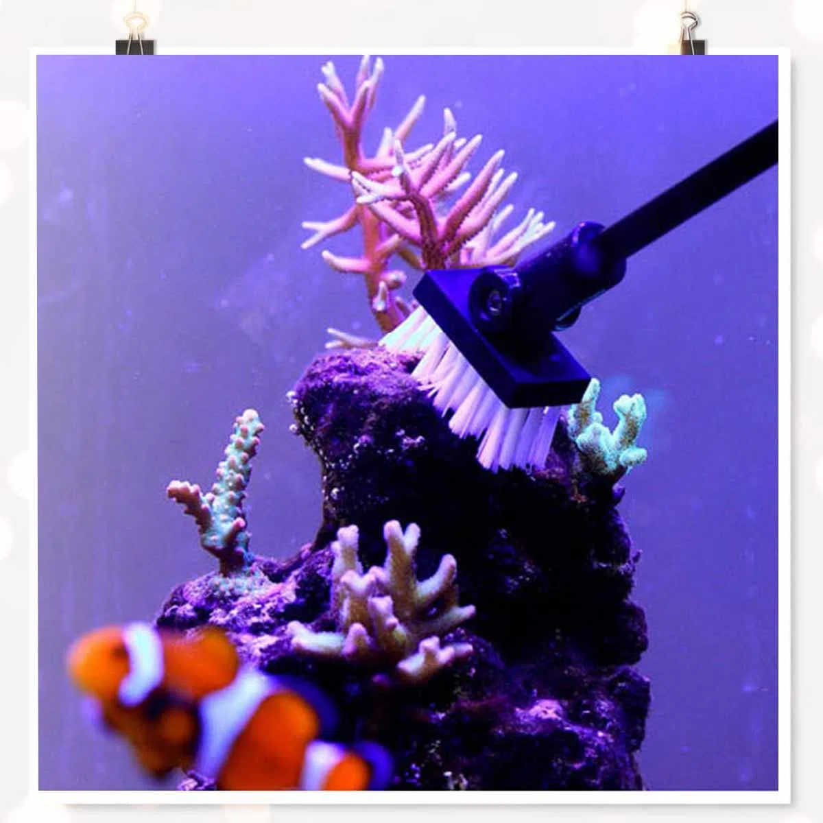 Pulizia Vetro Acquario Serbatoio Pesce - Spazzola In Lega Di Alluminio, Tre Lunghezze 33/48/64 Cm Regolabili, Angolo Della Spazzola Fisso Regolabile, Adatta Per Acqua Dolce/Marina
