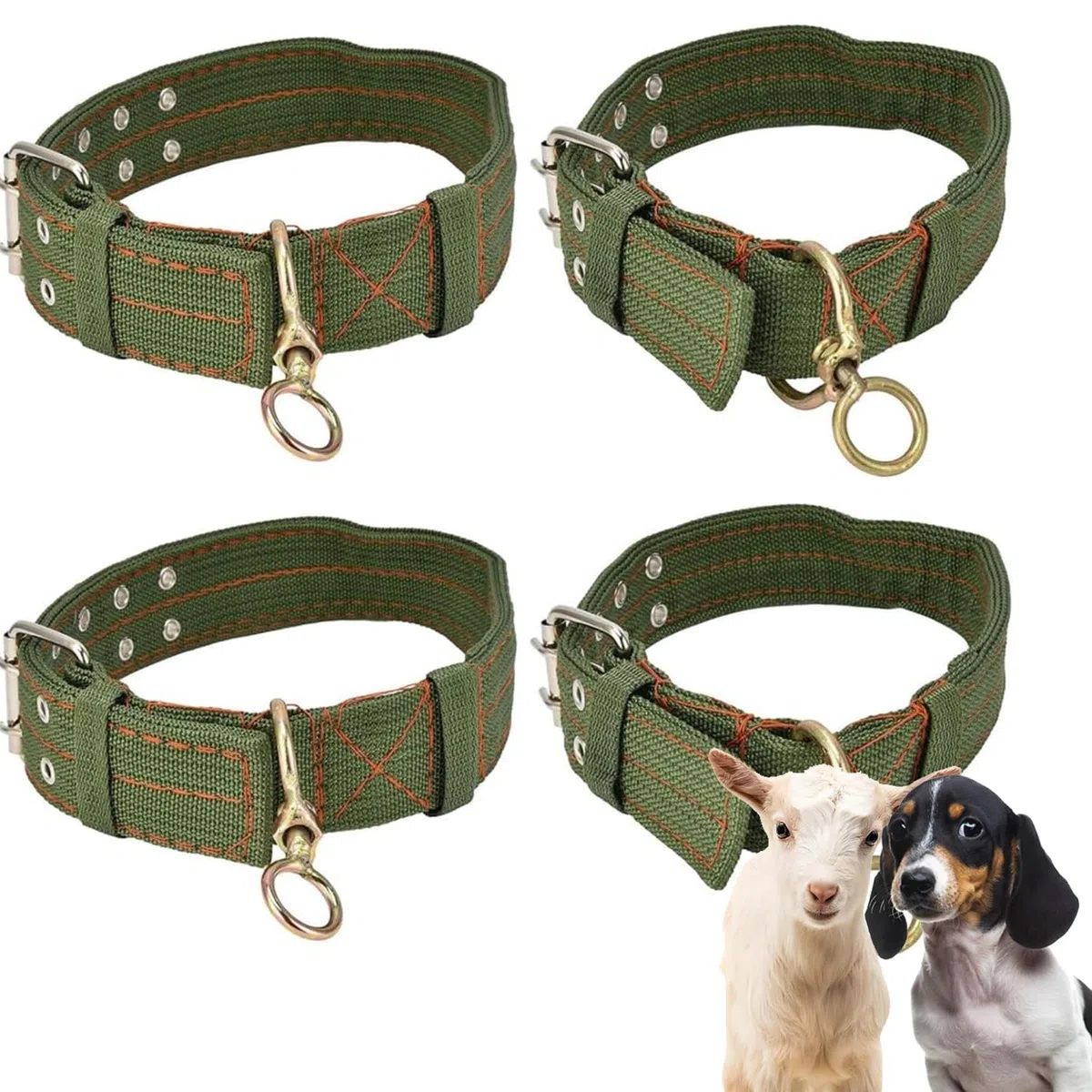 4 Pezzi Collare di Capra, Collari di Pecora Piccoli Regolabili, Collari Regolabili per Cani, Collare per Animali da Fattoria, per Piccoli Animali da Fattoria, Capra e Pecora