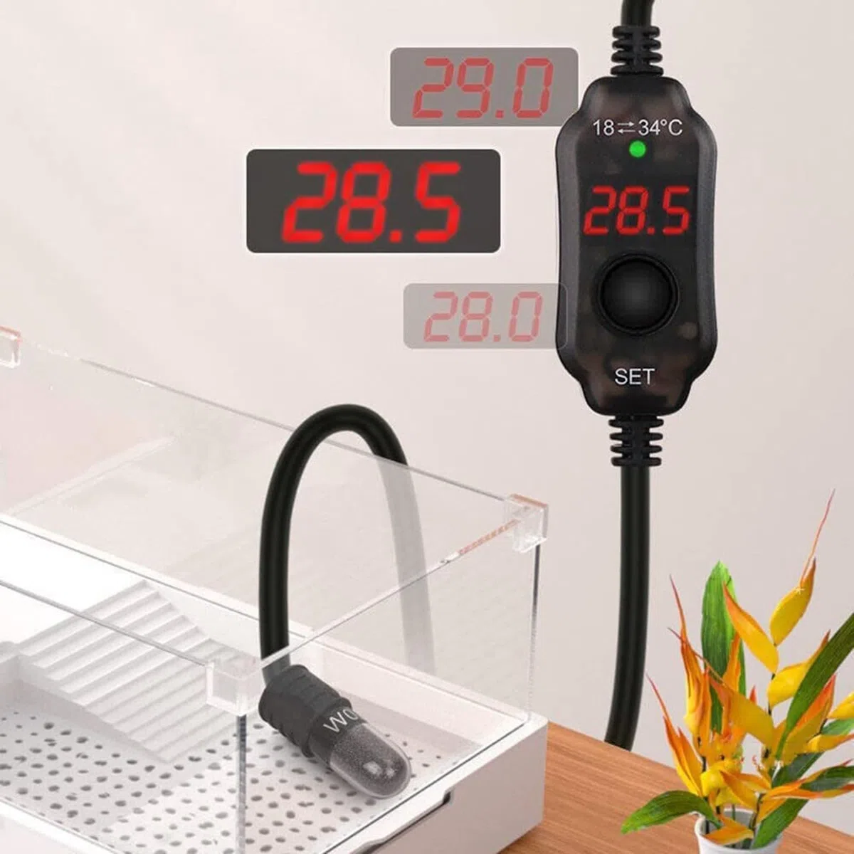 Mini riscaldatore per acquario sommergibile alimentato tramite USB, 10 W, con termometro integrato, regolatore di temperatura esterno utilizzato per serbatoio da 2-4 litri
