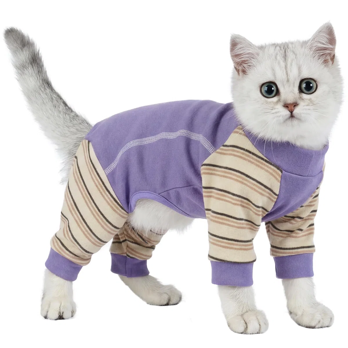 Tuta Post Operatoria Gatto, Morbido Body Gatto Post Operatorio con Manica Lunga Maglioncino per Gatto Coprire i Punti dopo l'operazione(Viola, XL)