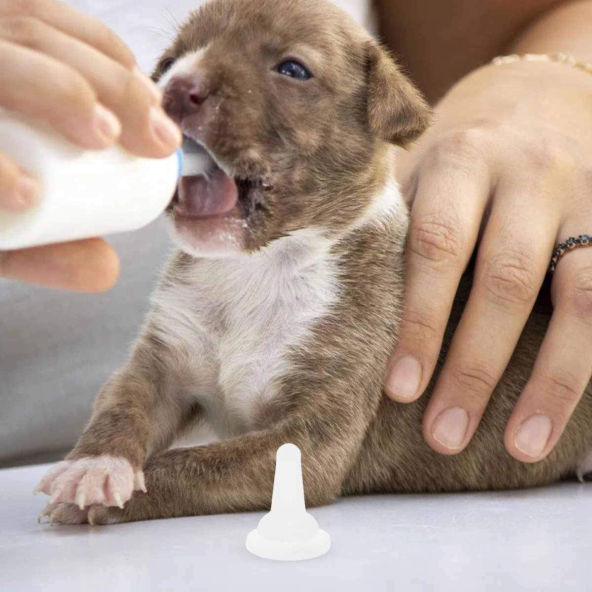 Set 50 Ciucci per Biberon in Silicone Morbido per Animali Domestici, Tettarelle Piccole Trasparenti per Gattini, Cuccioli e Conigli, Accessori per Alimentazione e Cure Ragazzo