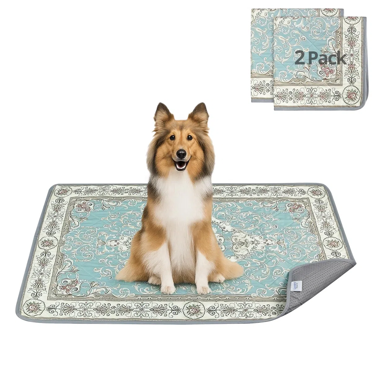 Tappetini Lavabili per Cani 70x100cm, 2 Pezzi Lavabili Traversine Cani, Tappetini Assorbenti per Cani A Prova di Perdite e Antiscivolo, Asciugatura Rapida