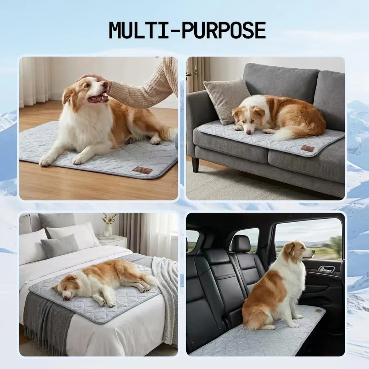 Coperta rinfrescante per cani lavabile e impermeabile, Q-MAX>0.4, 75×60 cm, doppia faccia rinfrescante e peluche, per divano e cani di piccola taglia