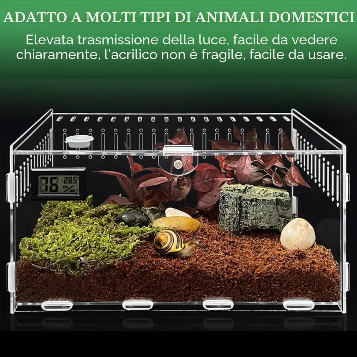 Terrario Acrilico 30 x 20 x 15 cm - Contenitore Portatile per Rettili, Lumache, Ragni - Mini Terrario