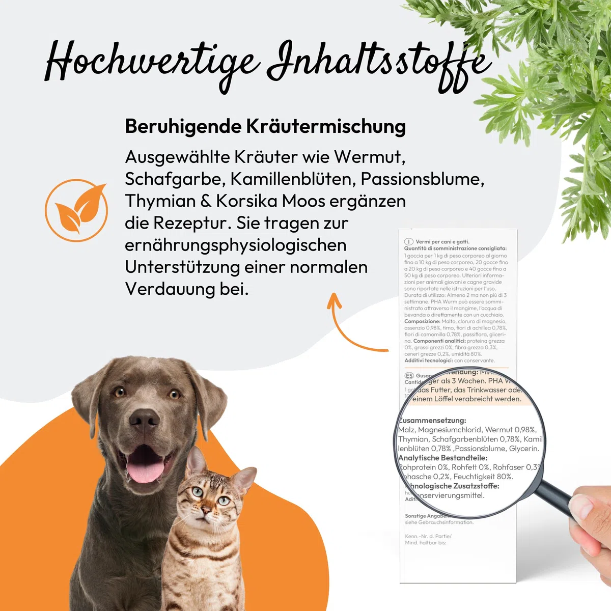PHA Verme Gocce per Cane e Gatto – Trattamento naturale di vermi per Gatto e Cane, Agente per vermi secondario, Alternativa alle infestazioni da vermi, con vermi, achillea, timo, gocce da 50 ml
