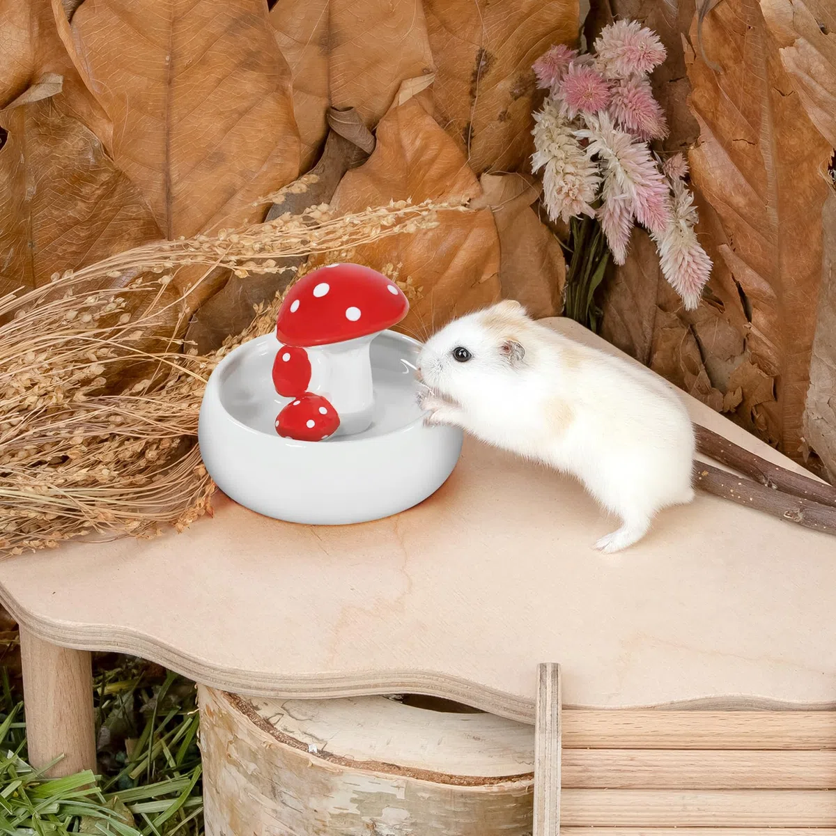 Niteangel Ciotole per l'alimentazione e l'acqua per criceti, serie in ceramica per funghi, per criceti siriani nani, gerbilli, topi, ratti o altri piccoli animali domestici di dimensioni simili