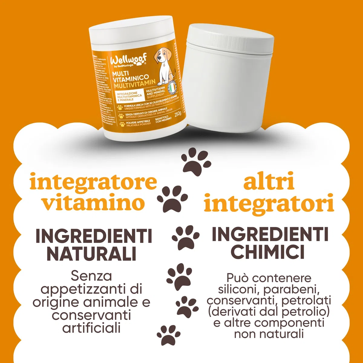 Integratore Multivitaminico Completo 11 in 1 | Integratore per Cani in Polvere (250g) | 20 Vitamine e Minerali e Moringa BIO | Senza Appetizzanti Animali | Dieta Casalinga | Made in Italy - WELLWOOF