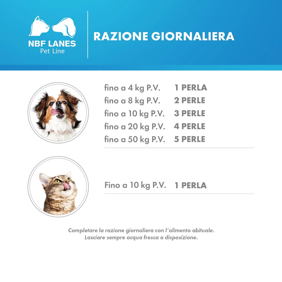 NBF Lanes | Krill Omega Pet Cane e Gatto, 60 Perle Appetibili, per il Normale Mantenimento della Funzionalità Renale e Intestinale