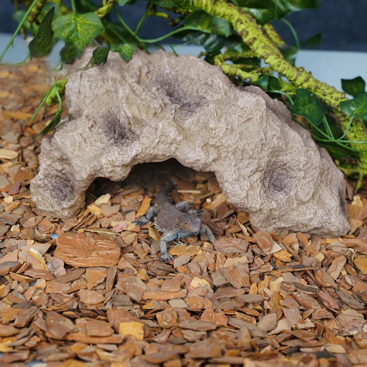 Pelli di rettili Roccia Rettile Grotta Nascondiglio Terrario Habitat Decor Ornamento per Piccole Lucertole Drago Barbuto Serpente Tartaruga Rane Anfibi Grande