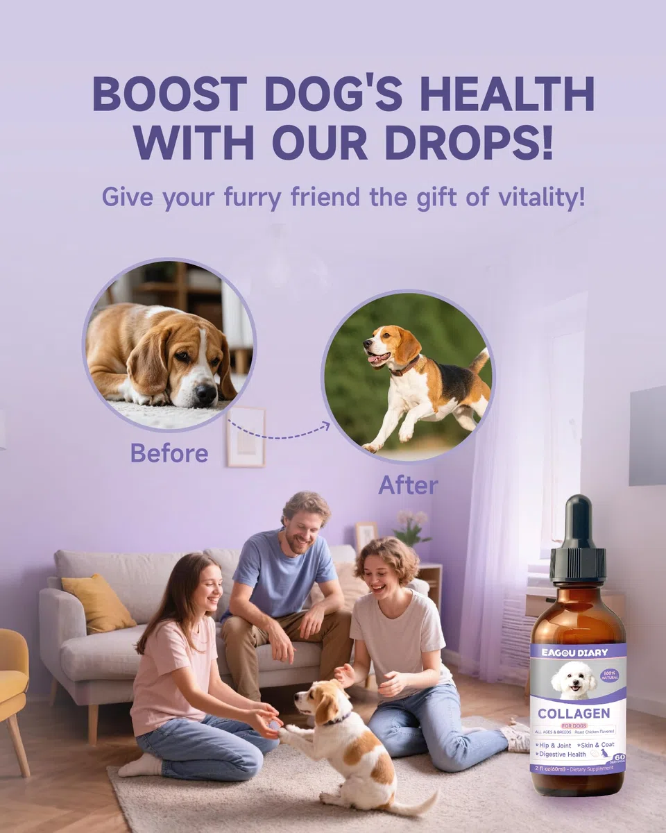 Eagou Diary Collagene per Cani - Supporto per Articolazioni e Flessibilità, Salute della Pelle e del Pelo, Glucosamina, MSM, Olio di Cocco, Vitamina C E, Biotina - Supporto Sistema Immunitario, 60ml