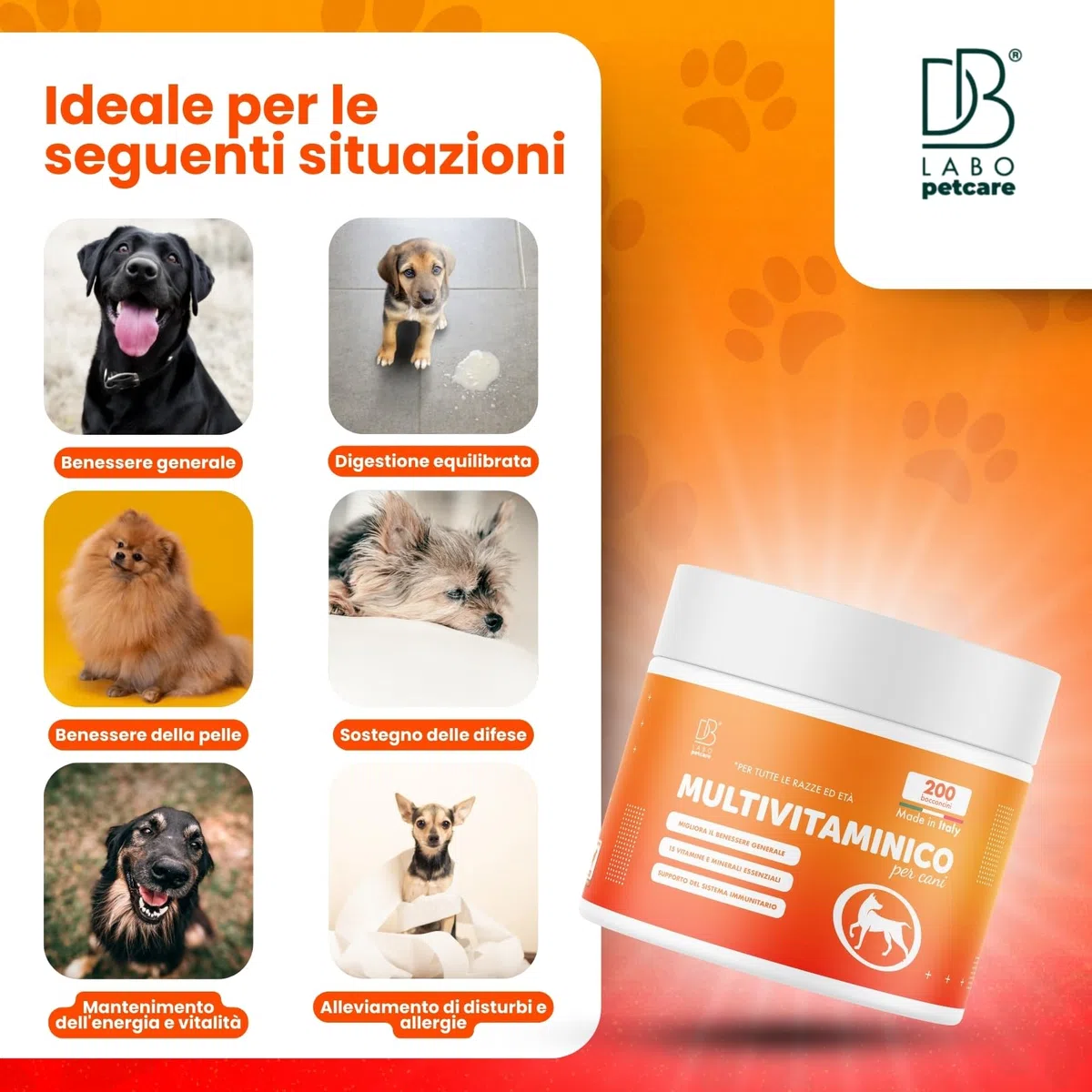 Db Labo Multivitaminico Cane 200 Bocconcini Per Facile Assunzione - Integratori per Cani Completi - 15 Vitamine per Cani e Minerali Essenziali - Integratori per Cane Pelle e Pelo, Sistema Immunitario