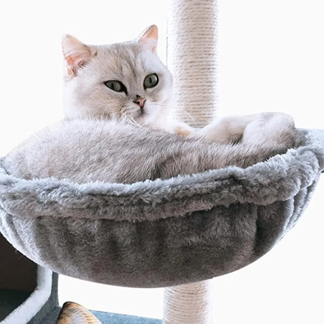 Amazza dell'albero del gatto, grigio per la torre di gatto cesta di sostituzione del cestino del lettino per gomma, giocattoli da pom-pom appeso con amaca per tutti i gatti
