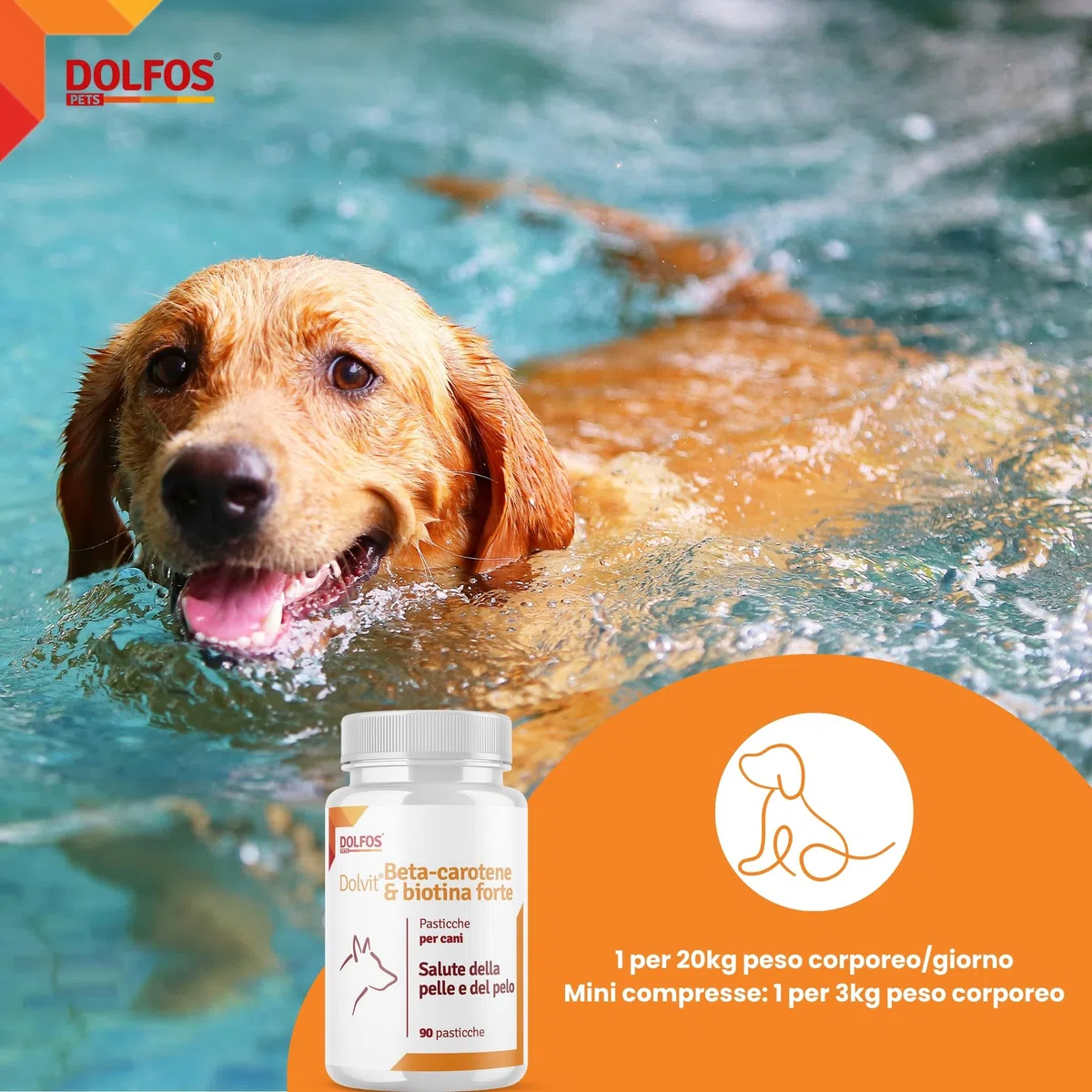 Dolvit Beta Carotene & Biotin Forte 90 CPR, Integratore Pelo Cane e Vista, Antiprurito per Cani e Supporto per Dermatite, Beta Carotene Integratore con Biotina per Pelle e Pelo, Rimedi Dermatite Cane