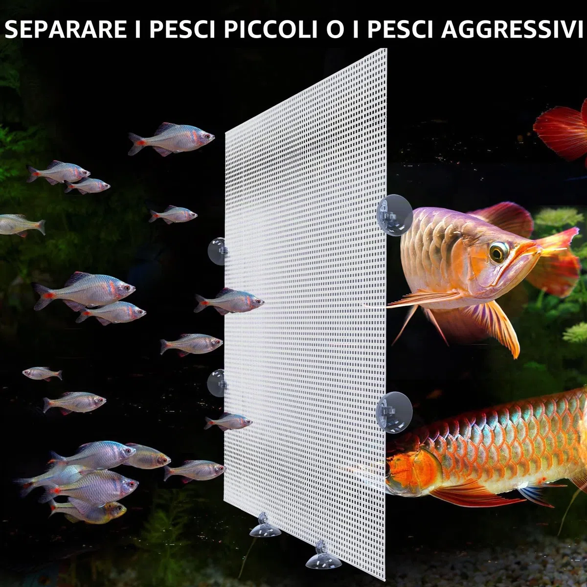 Cuyacili 2 Pezzi Divisori per Acquario Griglia Divisore di Plastica Trasparente con Ventose e Accessori Bianco 33x44 cm