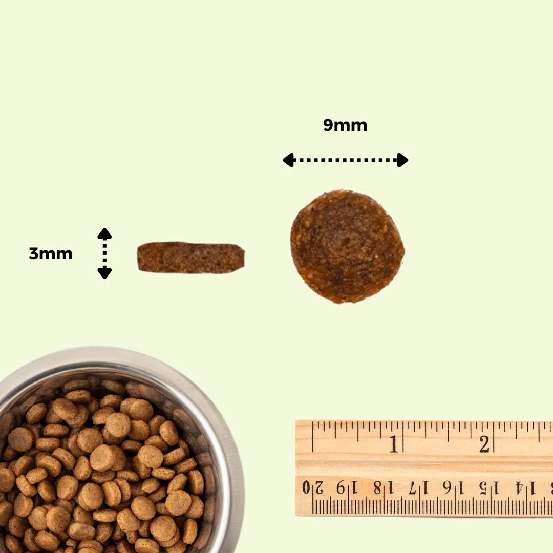 Il Cibo Di Beppo - Cibo Secco Per Gatti Sterilizzati - Crocchette Senza Cereali Di Alta Qualità: Grain Free E Senza Glutine - Alimento Completo - 1.5Kg (Pollo con Tonno e Salmone)