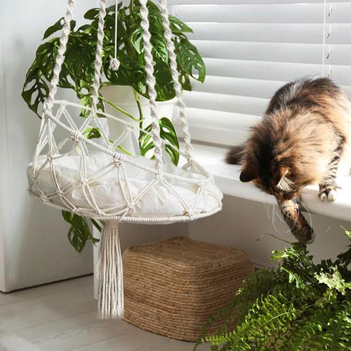 40x90cm Cuccia A Dondolo Per Gatti Amaca Per Gatti Appesa A Cesto Lettino Con Gancio E Cuscino Rimovibile Per Giardino Terrazza Interno