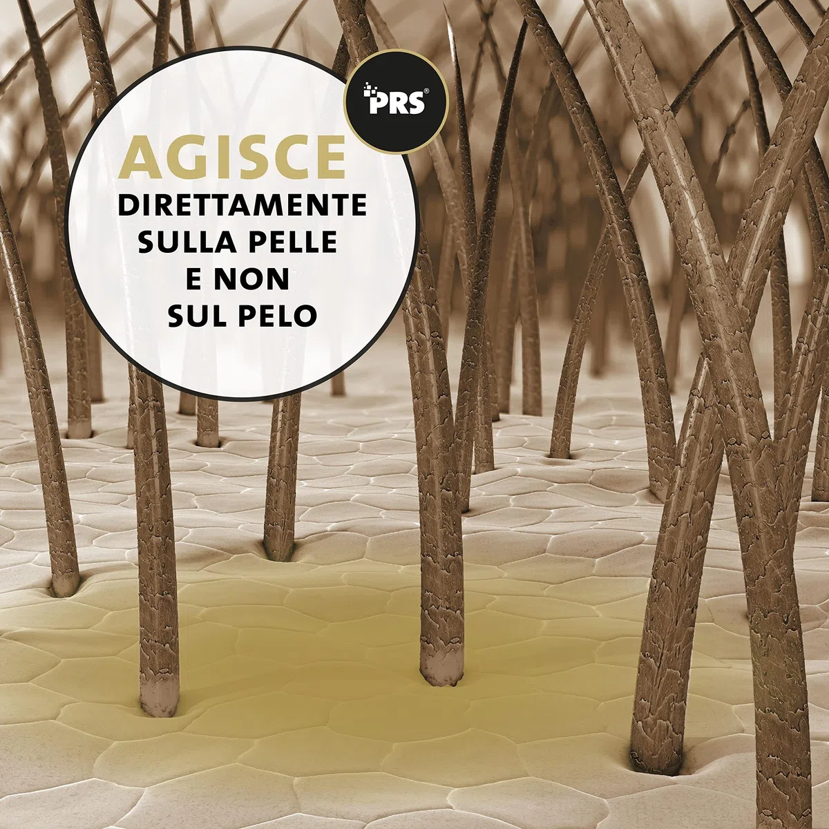 Peticare Balsamo Hot-Spot ed Eczemi Cani – Cura Delicata per Dermatiti Essudanti e Prurito – con Lanolina e Argento Colloidale – Pomata Lenitiva