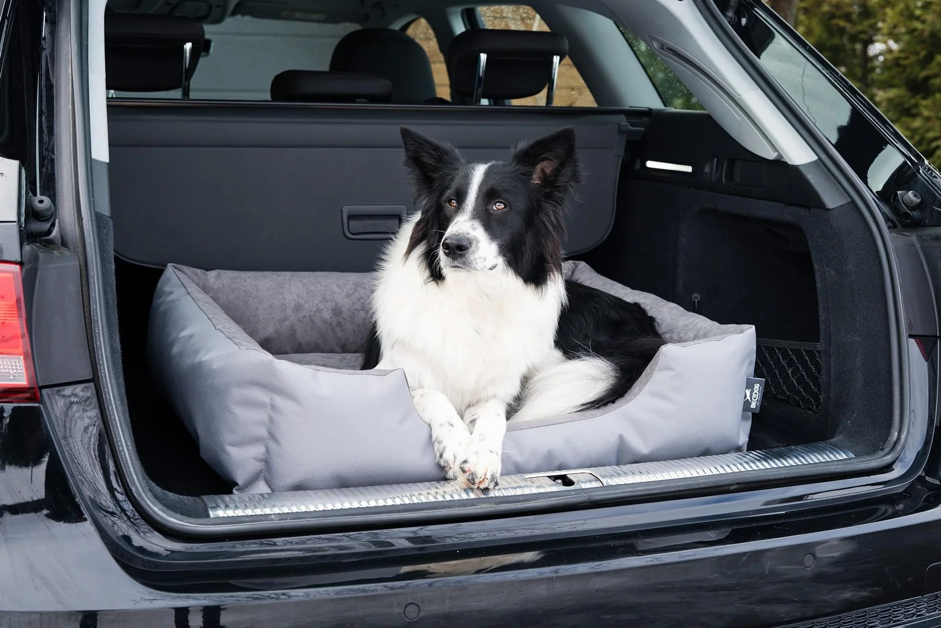 BedDog Cuccia per cani S - Cuscino - Divano - Copertina Rimovibile e Lavabile, Cani Piccola