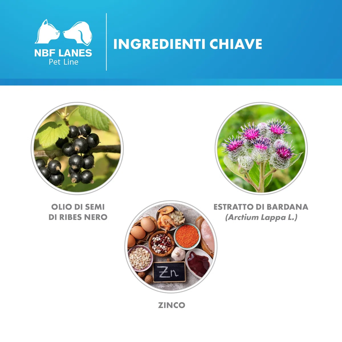 NBF Lanes | Ribes Pet Symbio Cane e Gatto, 30 Stick di Pasta Appetibile 60 g, Supporta la Normale Regolarità dell’Asse Cute-Intestino