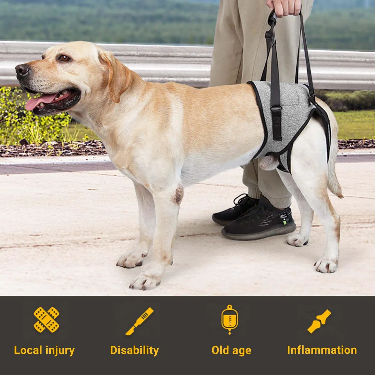 Imbracatura per Dog, Redipet per Cani, Tutore Zampa Posteriore Cane, Fascia per Sollevare Cani, Imbracatura per Dog, Harness Cane Zampe Posteriori, Disabili e Disabili. (S)