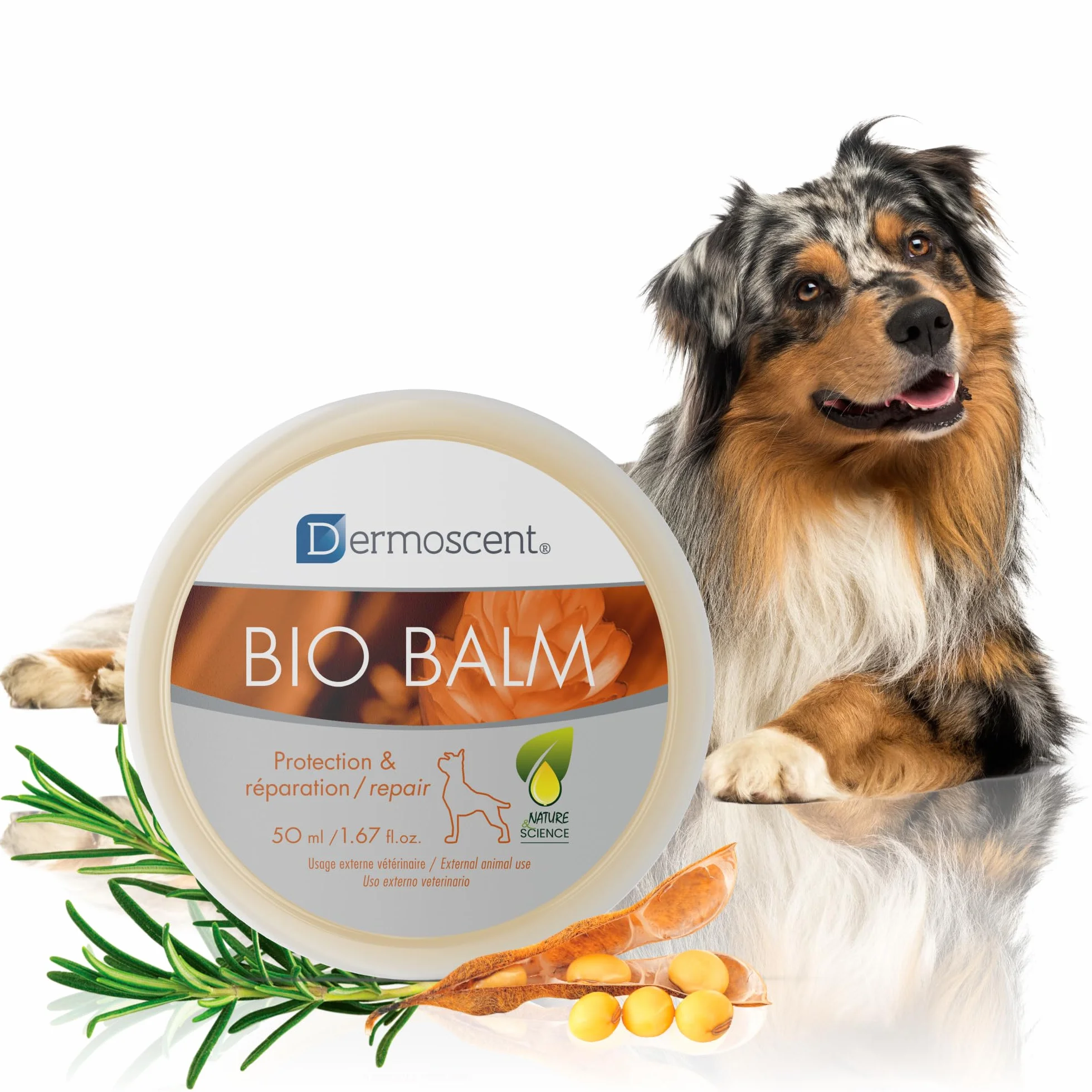 Dermocent | Balsamo Biologico | Balsamo per zampe di cane | Idratante organico per zampette, naso e gomiti | Sollievo dalla pelle pruriginosa del cane | Lenisce le zampe sensibili | 50 ml
