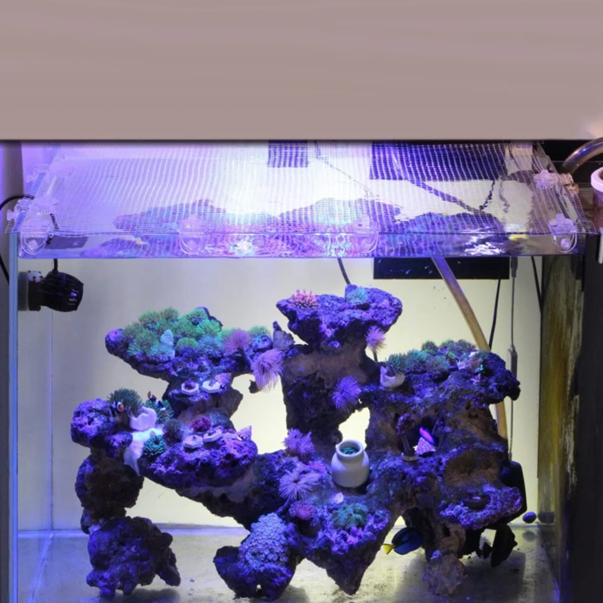 LOVIVER Rete Trasparente Rete Protezione Acquario Anti-Salto Fai-da-Te per acquari Schermo ad Aria Rete Portatile con Supporto Fisso Schermo 53x70cm