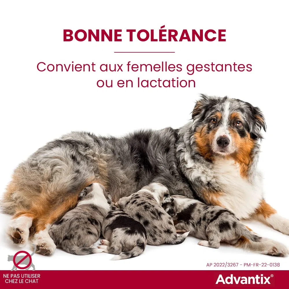 ADVANTIX 6 pipettes antiparasitaires - Pour tres petit chien de 1,5 a 4kg