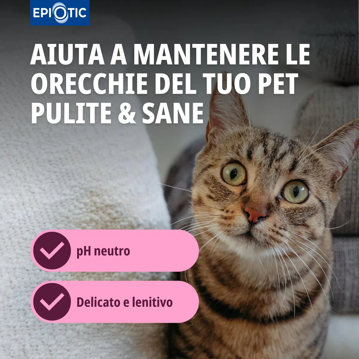 Virbac Epi-Otic Detergente Per Orecchie