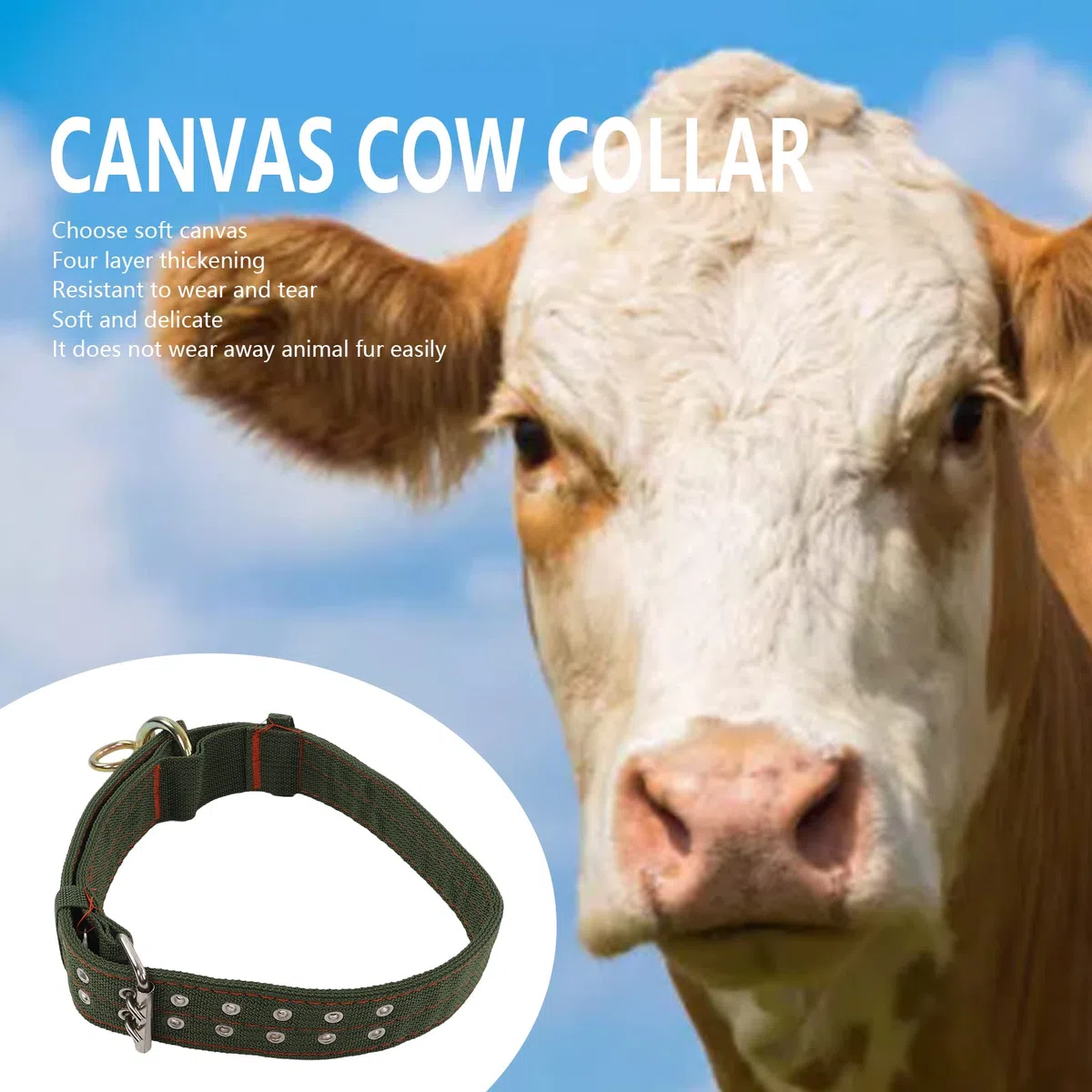 Collare per Mucca Regolabile, Fibbia in Metallo a 2 File per, Ovini, Bovini, Cani, Vitelli, 4 Strati con cinturino. (Grande)