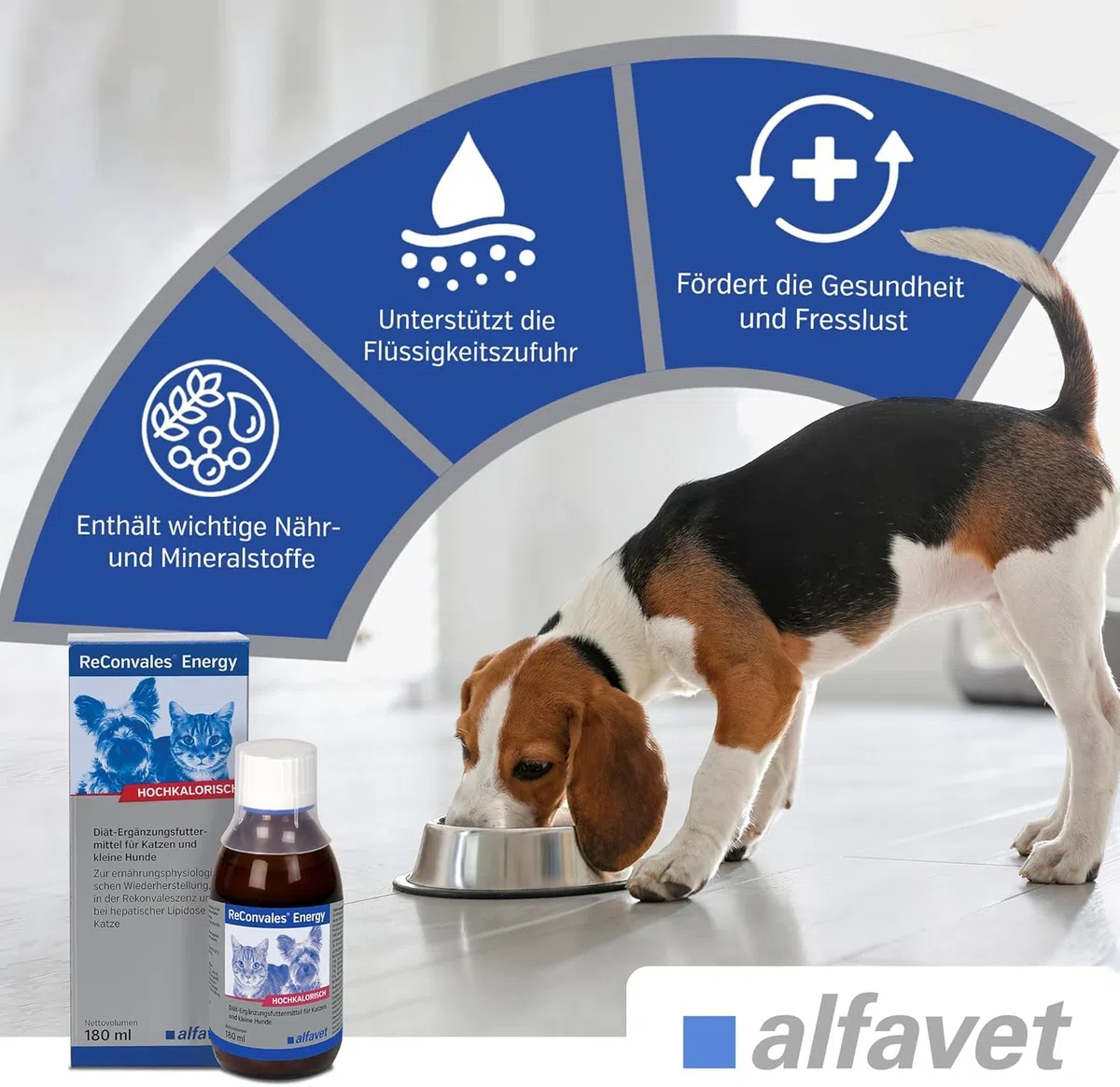 alfavet ReConvales Energy, confezione doppia, in convalescenza, sottopeso e lipidosi epatica del gatto, ad alto contenuto calorico, 2 x 180 ml