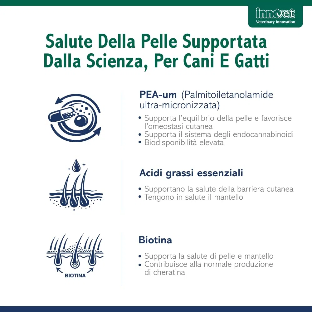Redonyl Ultra 50 mg per cani e gatti – 60 capsule – Alimento complementare avanzato per il supporto di cute e mantello – Supporta la pelle sensibile e favorisce un mantello sano (50 mg capsule)