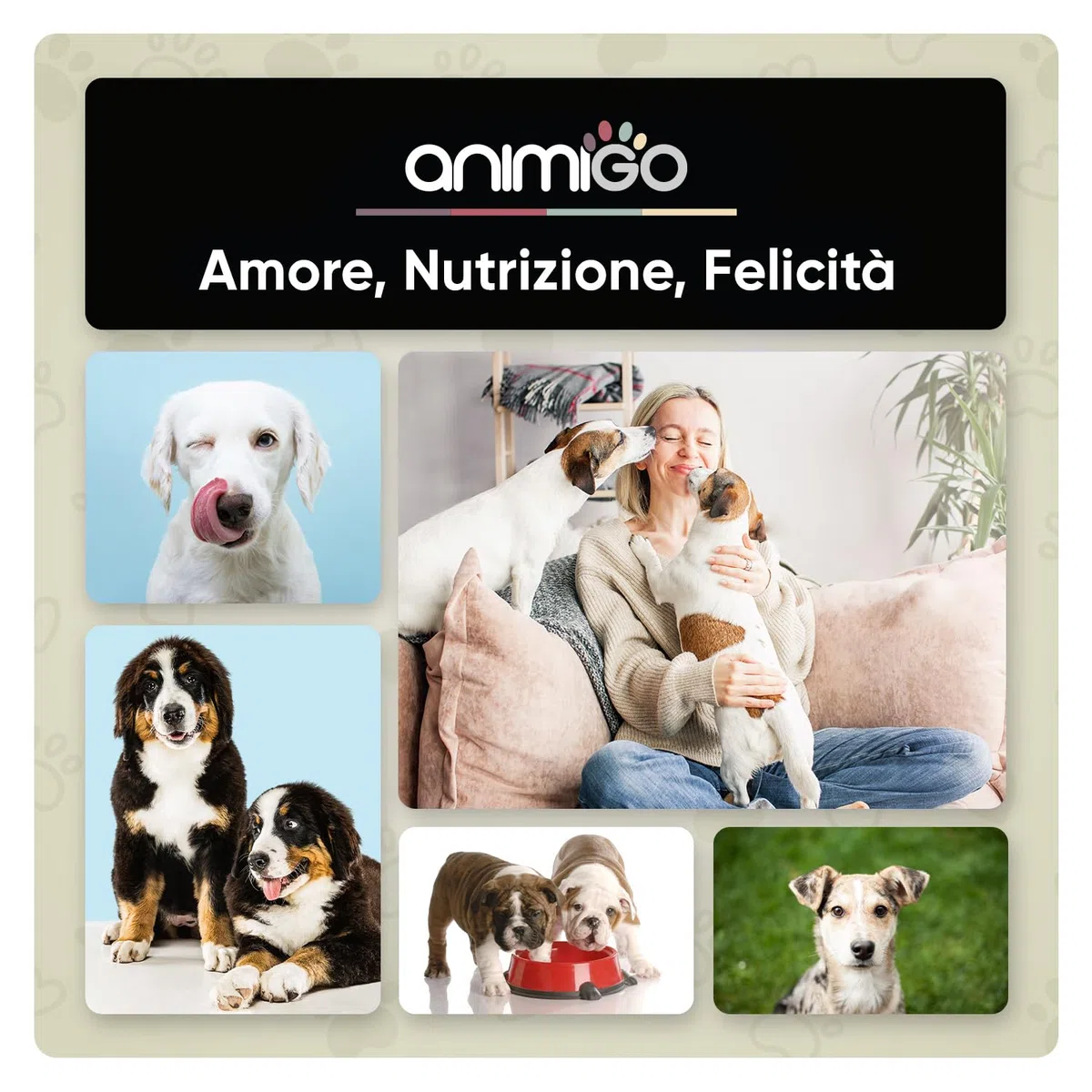Integratore Cane per Allergie Cutanee, Ambientali, Alimentari e Dermatite Cane, 120 Compresse Gusto Pollo con Semi d'Uva, Semi Zucca, Buccia Psillio, Farina Riso Integrale, Curcuma per tutte le Razze