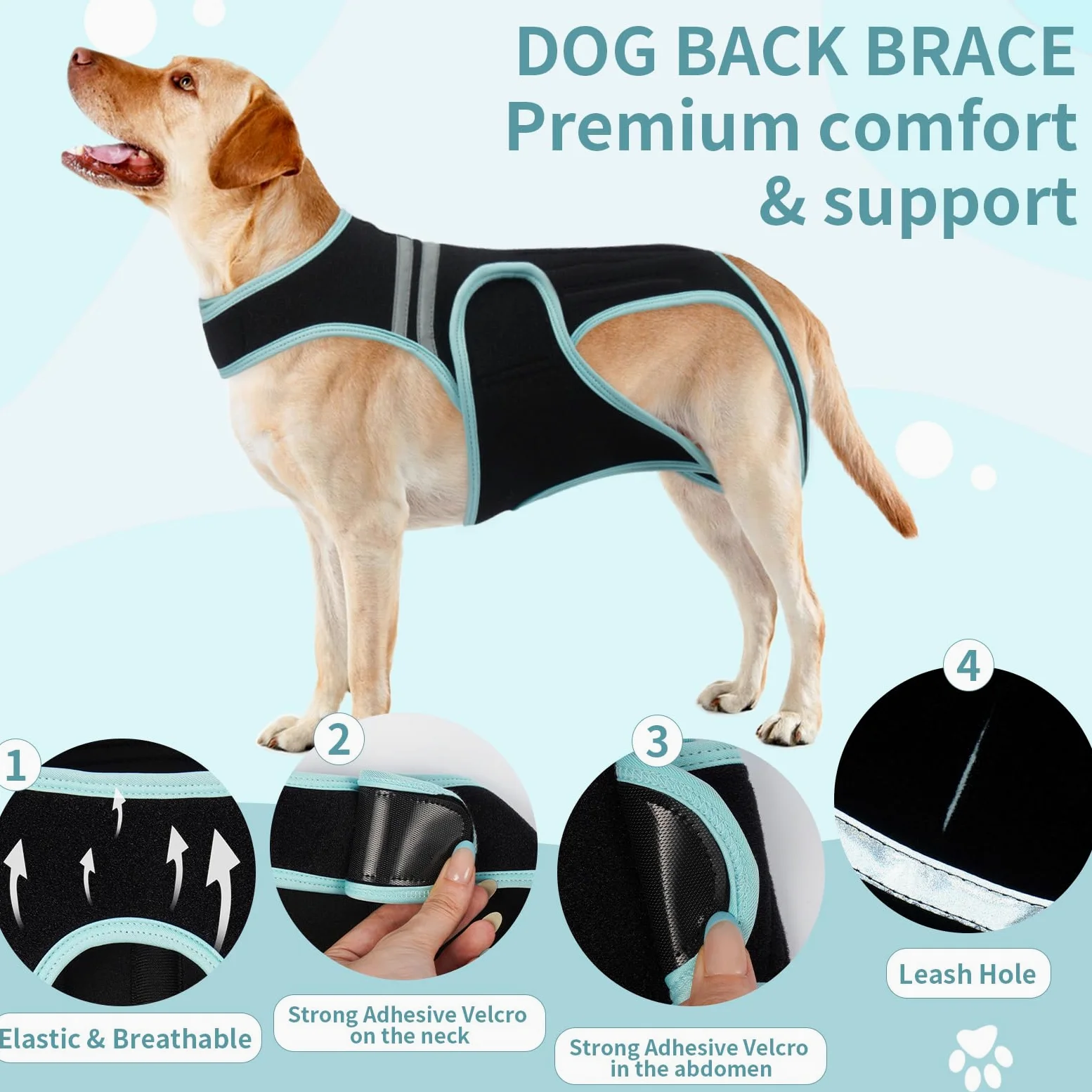 PUMYPOREITY Tutore per Schiena Cani IVDD, Busto per Schiena Cani, Gilet di Supporto per Schiena Bassotti, Artrite IVDD, Ernia del Disco, Recupero Chirurgico Spinale(M)