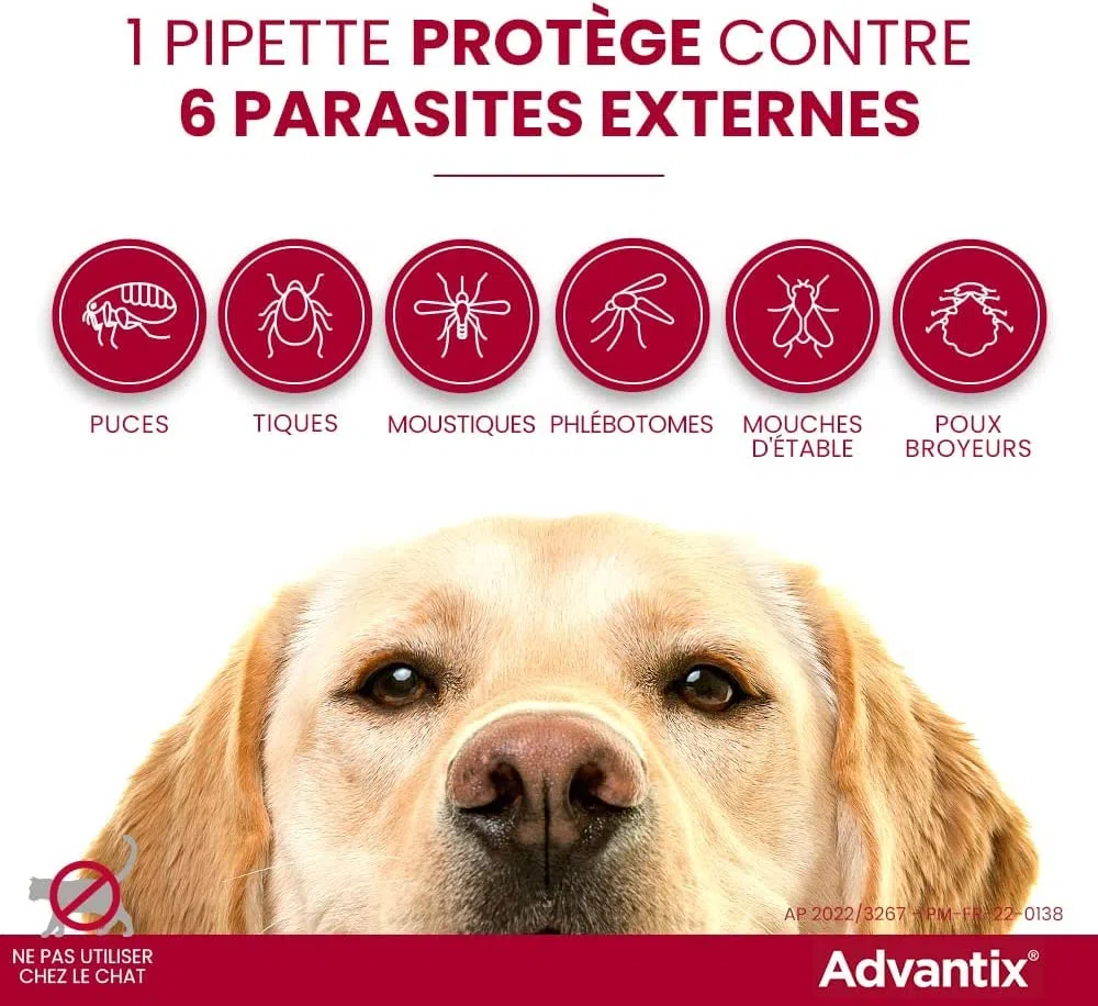 advantix spot 10-25 kg 4 pipette
