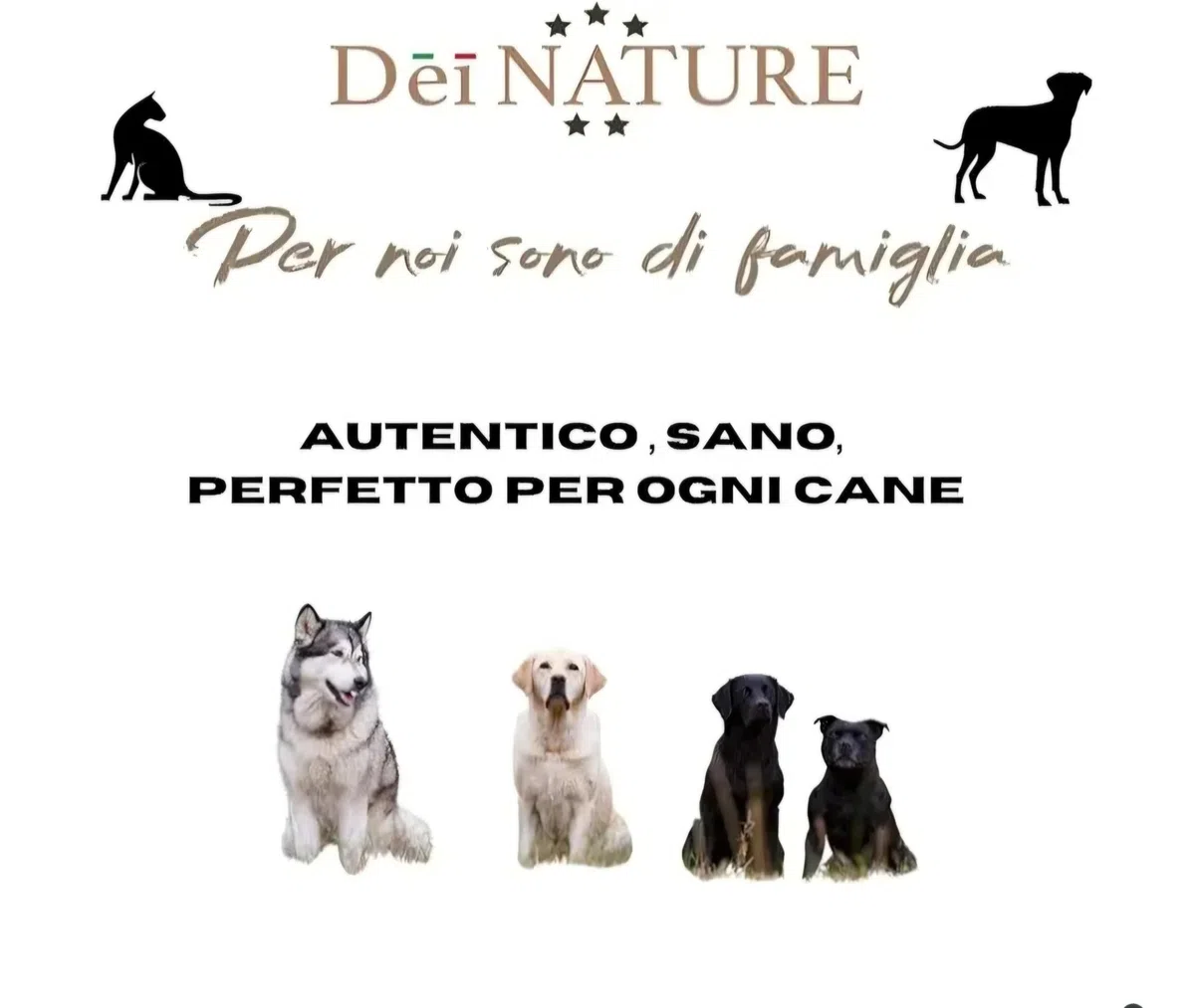 Snack di pesce essiccato per cani e gatti 100% naturale- CONFEZIONE DA 500G- adatto dieta Barf