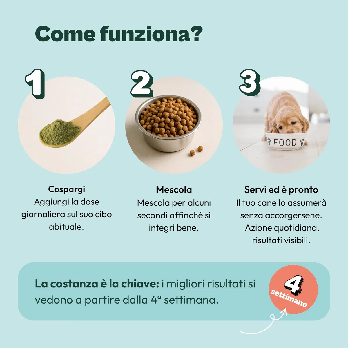 Gooddy – Cura Dentale per Cani in Polvere 180g – Alito Fresco, Riduce Placca e Tartar, Supporta le Gengive – Con Probiotici e Prebiotici