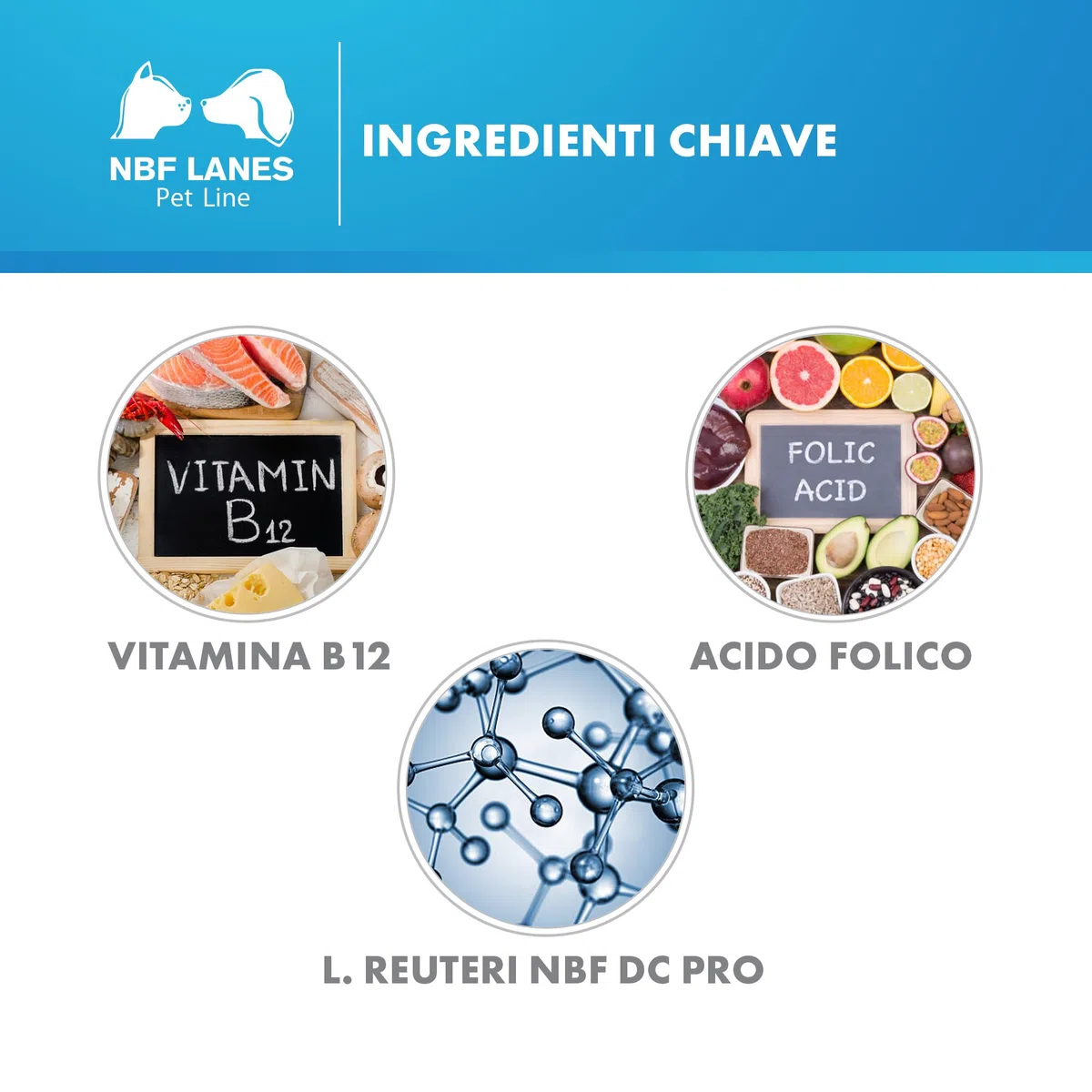 NBF LANES | ReufolB12 Cane e Gatto, 60 Capsule Appetibili, Supporto Vitamina B12 e Acido Folico Intestinale