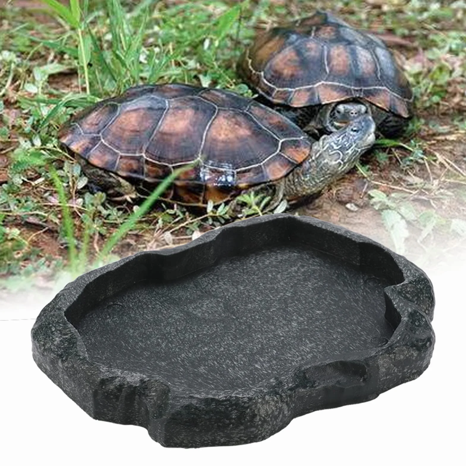 Ejoyous Ciotola per Acqua per Rettili, Piatto Abbeveratoio in Plastica per Terrario, per Serpente Tartaruga Geco