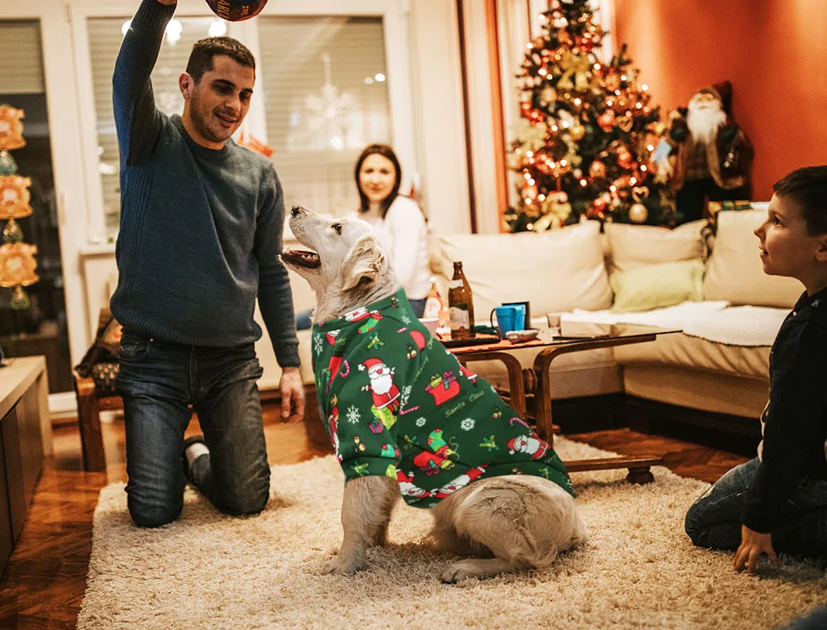 2Pezzi Grande Natale Maglioncino Cane Natale Vestiti per Cani Maglioncini Natalizi per Cani Gatti Abbigliamento Invernale Caldo per Le vacanze Costumi Domestici Caldi Pullover per Cani L