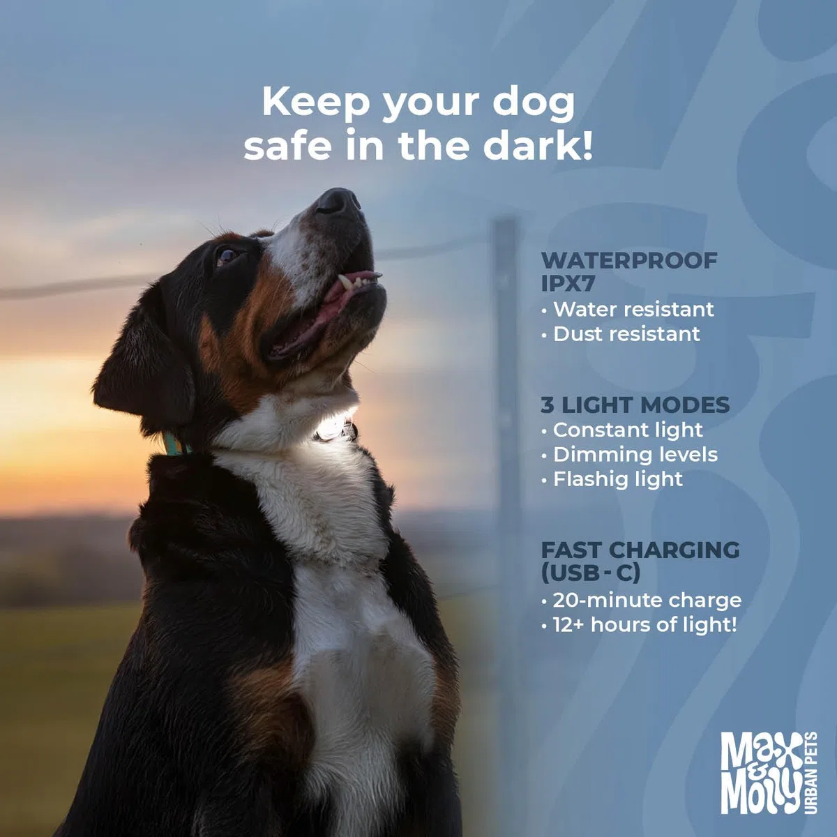 Max & Molly Matrix 2.0 Ultra LED, Luce per Cani per Guinzaglio e Collare, Nero, Impermeabile, Ricaricabile USB, Lampada LED per Cani, Luci per Cani per Maggiore Sicurezza Notturna