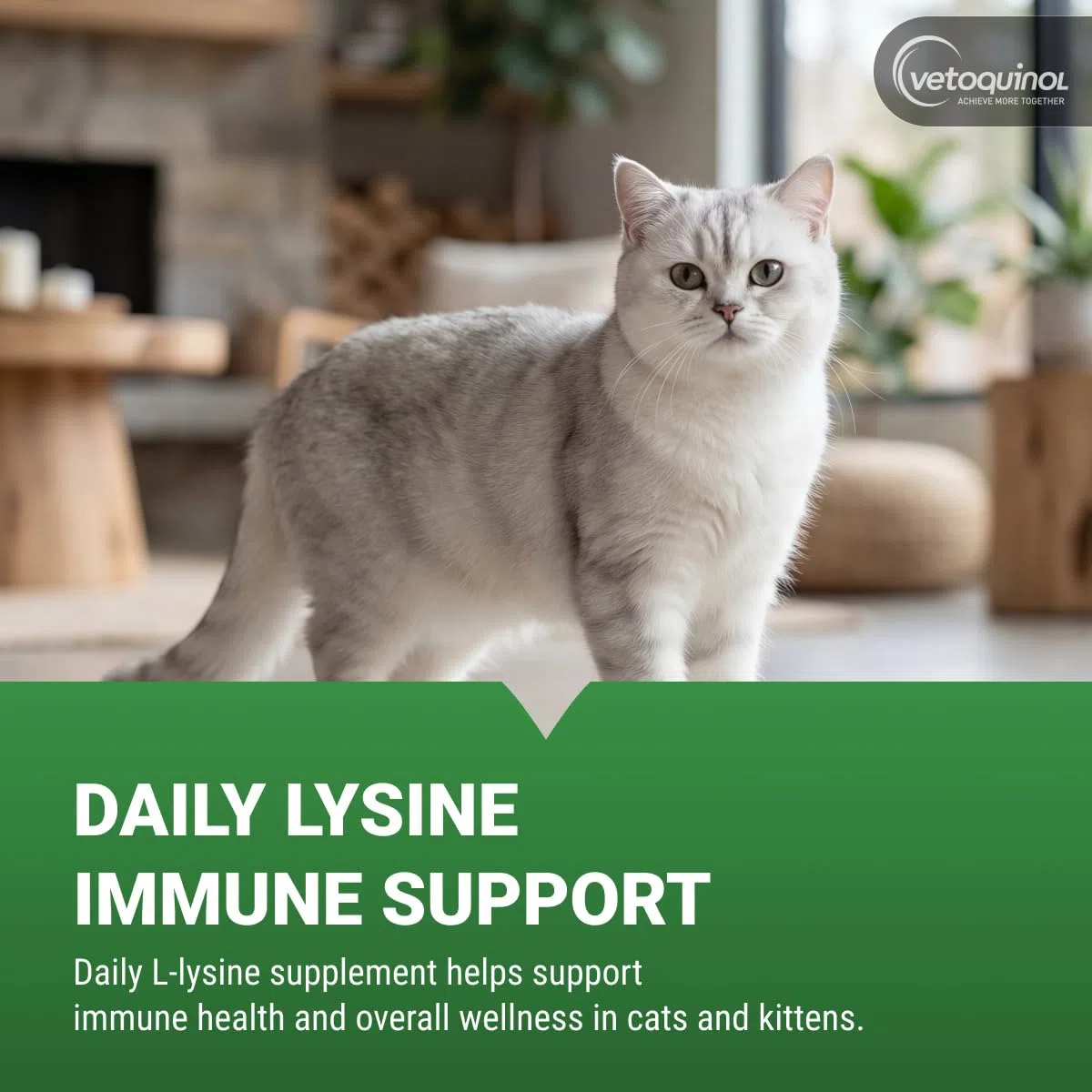 Enisyl Enisyl-F Paste For Cats 100ml by Vetoquinol