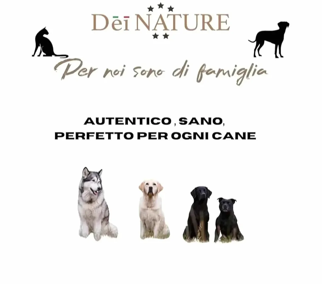 Osso di Vitello XL, 30-35 cm, Set da 3 Pezzi, Snack Naturale per Cani, Masticabile per Dieta Barf
