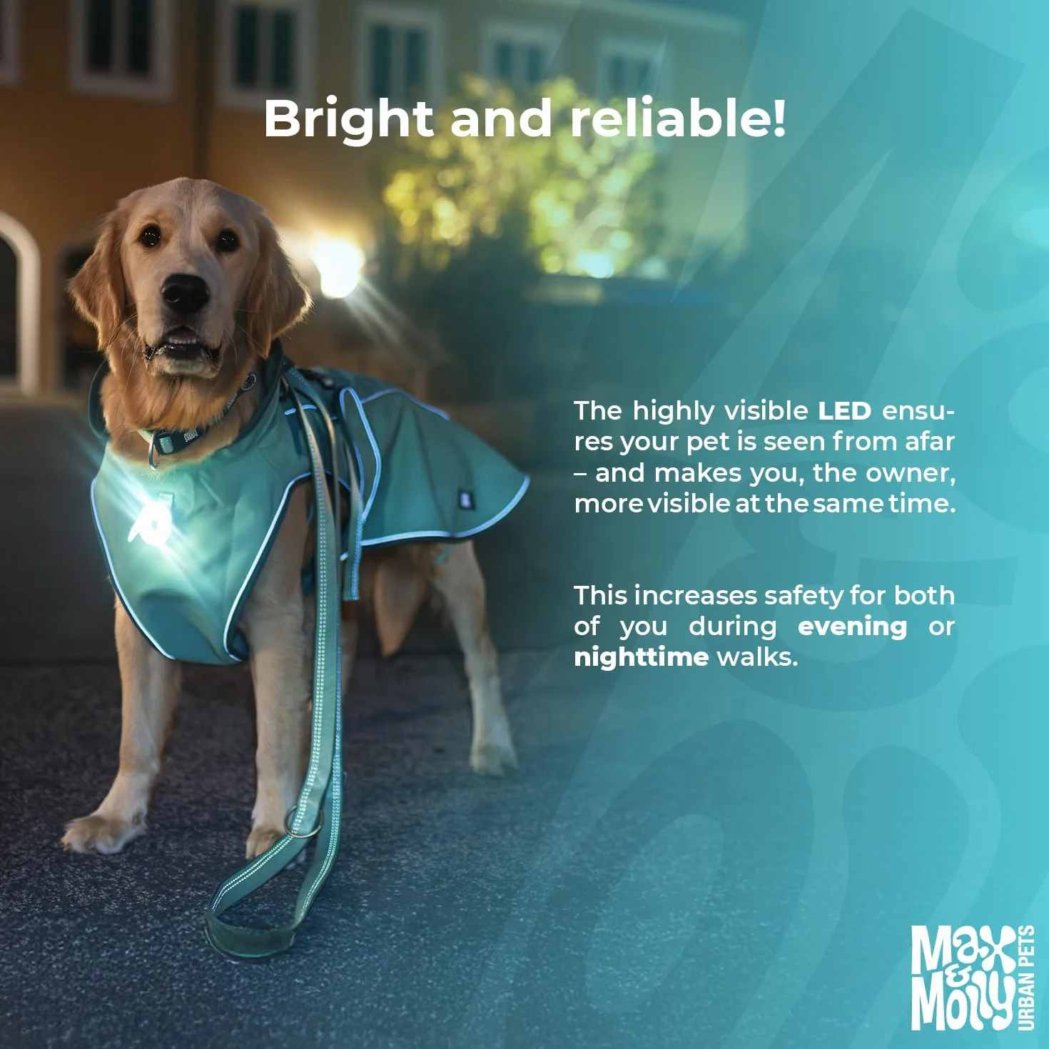 Max & Molly Matrix 2.0 Ultra LED, Luce per Cani per Guinzaglio e Collare, Nero, Impermeabile, Ricaricabile USB, Lampada LED per Cani, Luci per Cani per Maggiore Sicurezza Notturna