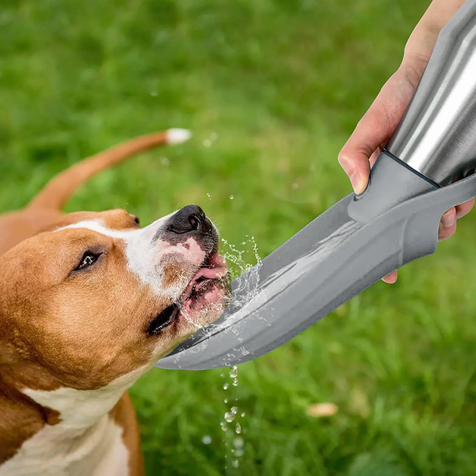 Borraccia Cane Portatile, 750ml Borraccia per Cani Antigoccia con Ciotola, Acciaio Inox Dispenser Acqua per Passeggiate Viaggi, Ciotole per Cani da Viaggio, Grigio