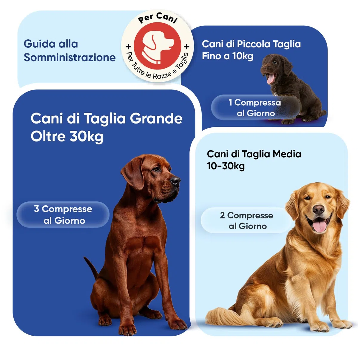 Vitamine per Cani con Minerali, 120 Compresse Masticabili, 18 Vitamine e Minerali, Sistema Immunitario, Ossa, Articolazioni e Pelo, Integratori per Cani per Tutte le Taglie e Razze, Prodotto in UE