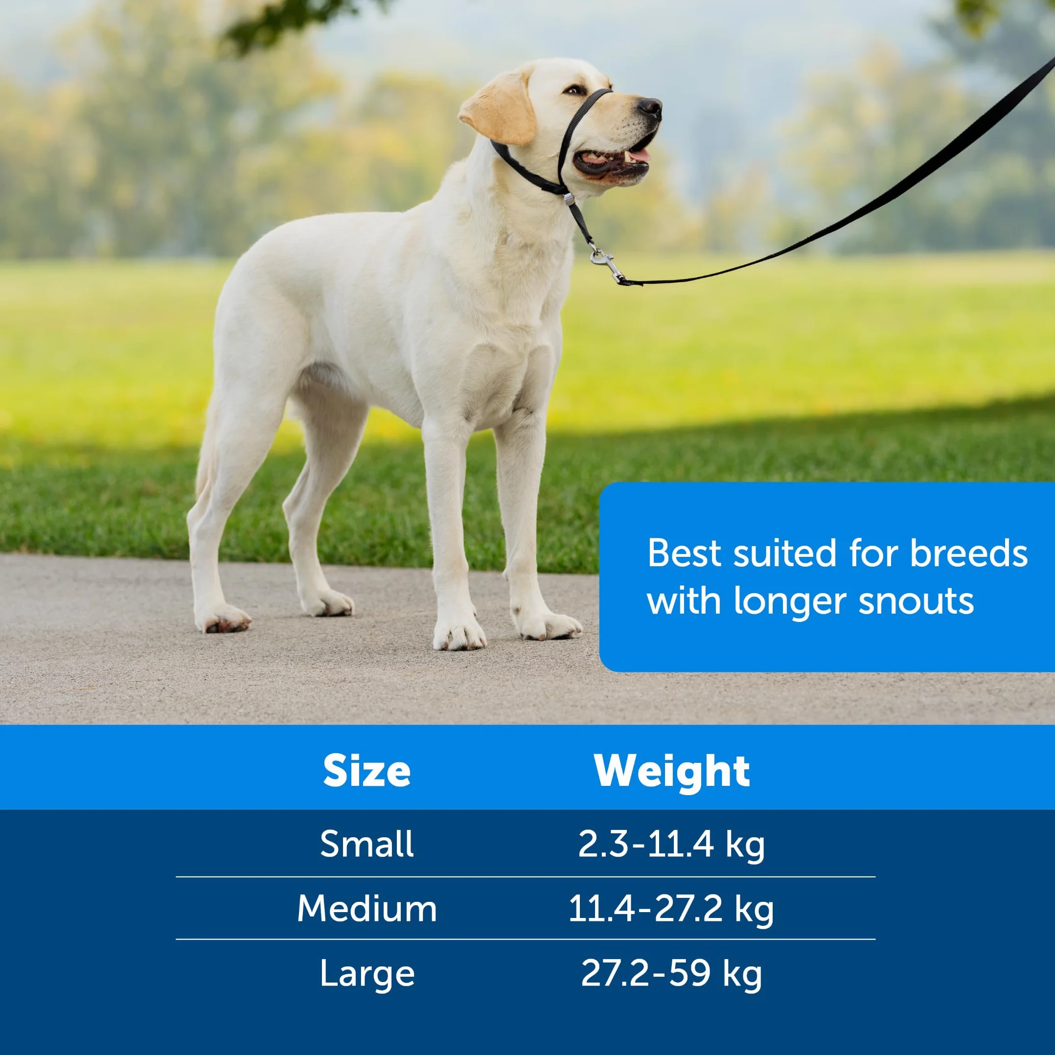 PetSafe - Collare a cavezza Easy Walk per cani di taglia grande (L), comoda, anti-trazione, con guinzaglio in nylon (incluso) - Nero