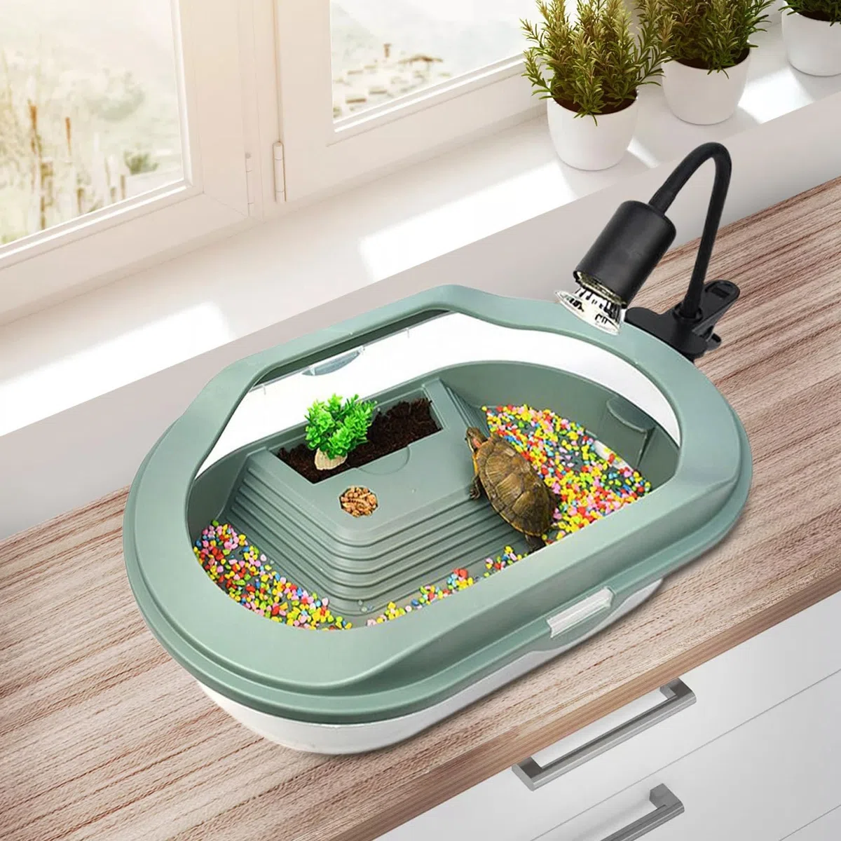 Serbatoio per tartarughe d'acqua, terrario per tartarughe, di drenaggio inferiore, coperchio trasparente, scatola per allevamento habitat per piccoli rettili eremiti, granchi, gechi, piccoli