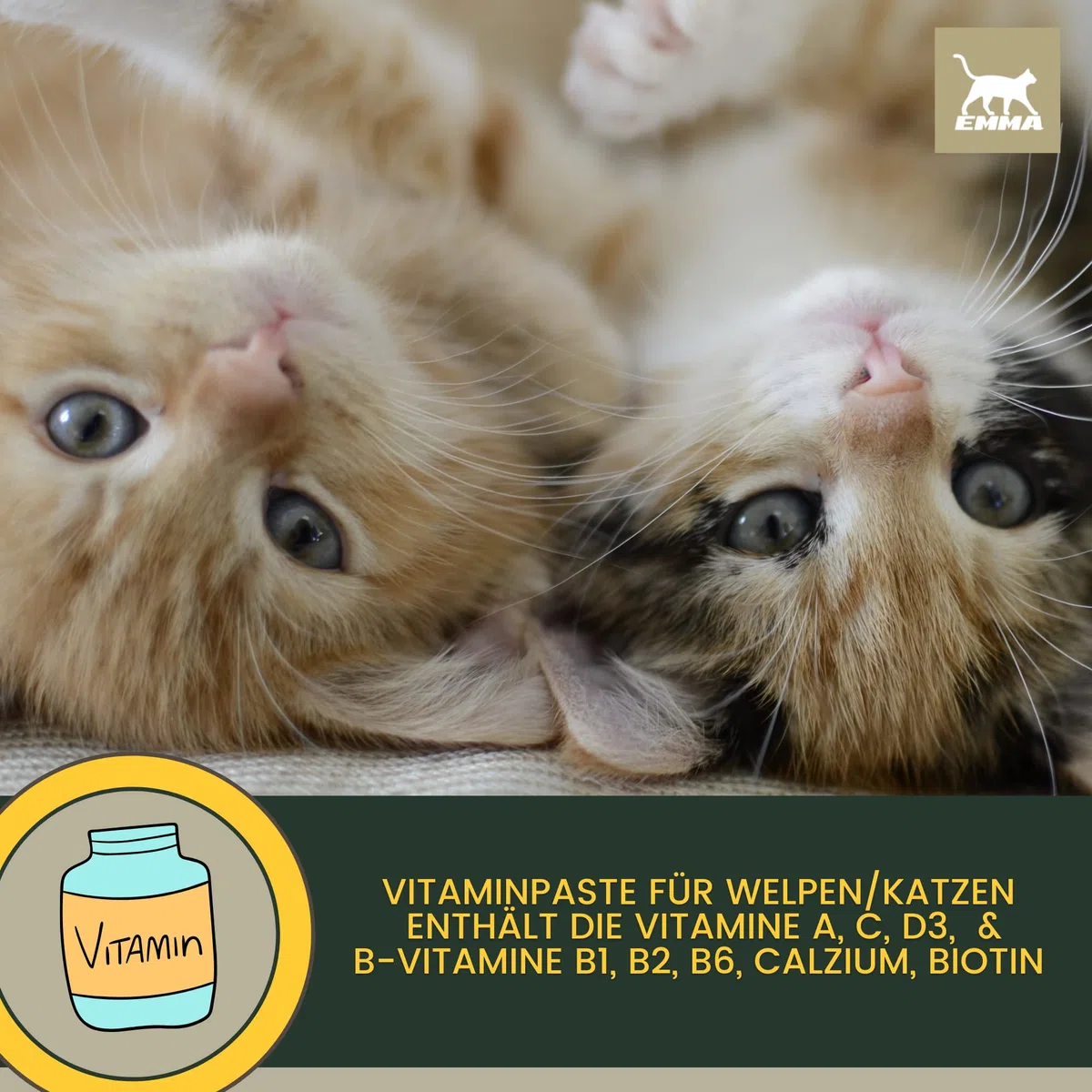 Gatti Multi Vitamine I Pasta vitaminica per gatti 15ml I Complesso vitaminico B altamente dosato per gatti I Vitamine B con vitamina A D C I Energia per anziani Gatto Booster vitaminico